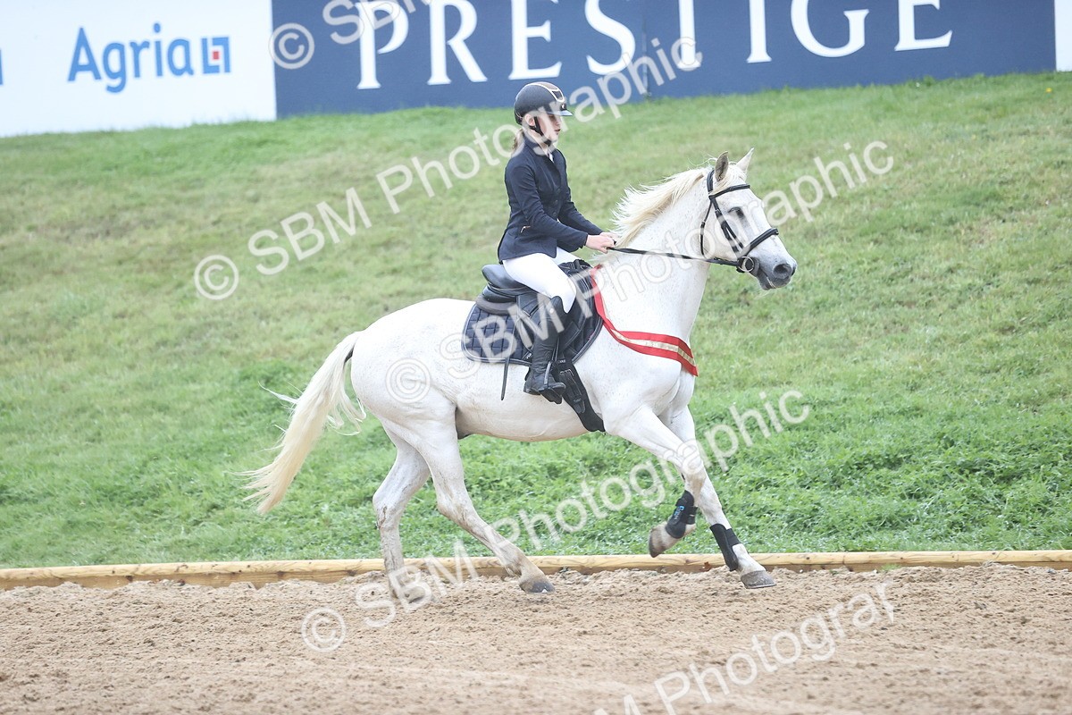 SBM_73628 - J19 - Junior Horse & Pony 90cm Supreme championship