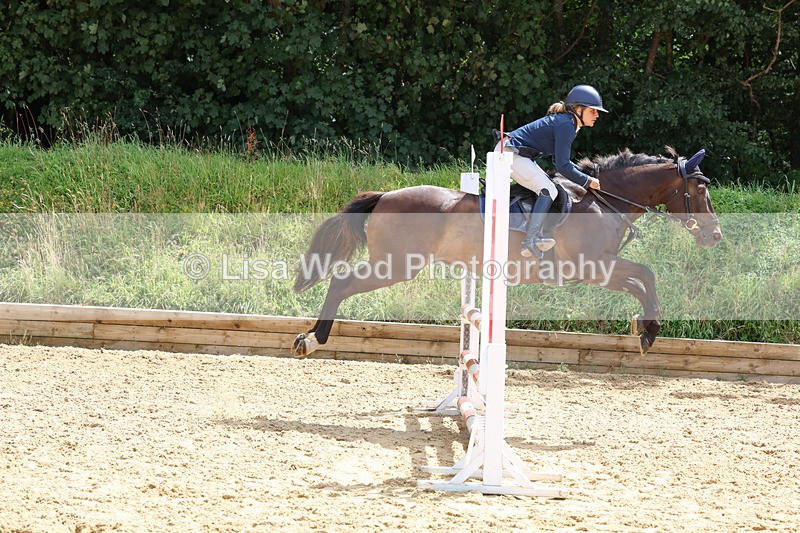 3E7A0408 - Class 9: Senior British Novice/90cm open