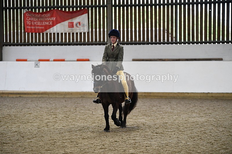 WJ5_6906 - Class 10 Childs Pony
