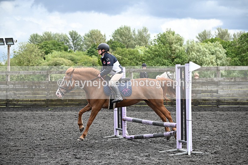 WJ6_0216 - Class 13 Novice 60cm