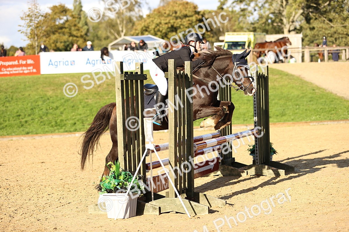 SBM_51953 - J10 - Junior Pony 75cm Championship