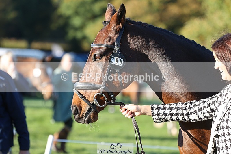 241027-083350-14663 - 390-Pippa.Howell-Phippard-NO.LIMIT.II