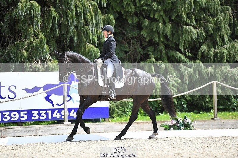 230525-140344-03079 - 317-FERNHILL_KANKAN-Jonelle_Price-WEDTrotUp+DR