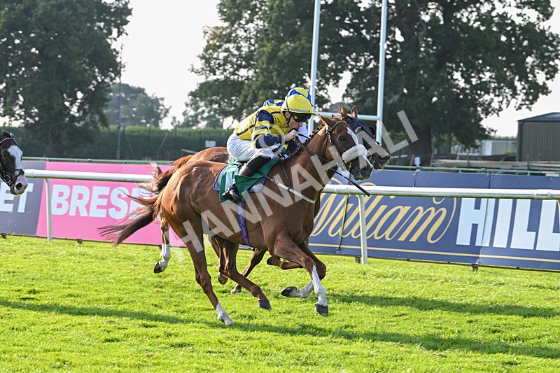 300824-Race 8-Captain Corelli-6667 - Race 8