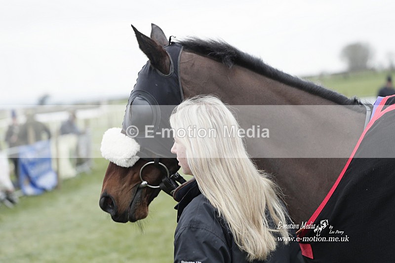 PtP 050323 366 - Blackmore & Sparkford Vale Hunt PtP - Somerset 05/03/23