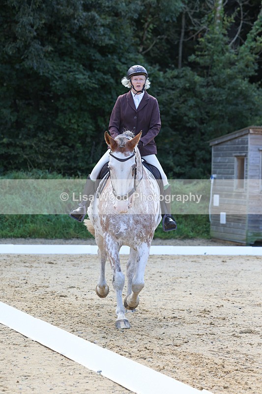 3E7A2370 - Class 1: Intro 4 2024 section A