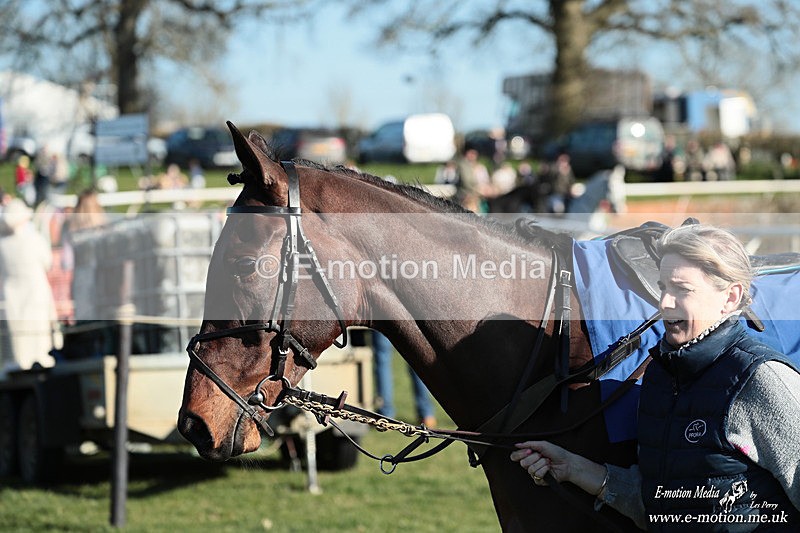 PtP 210326 936 - VWH Cirencester Races 21/03/26
