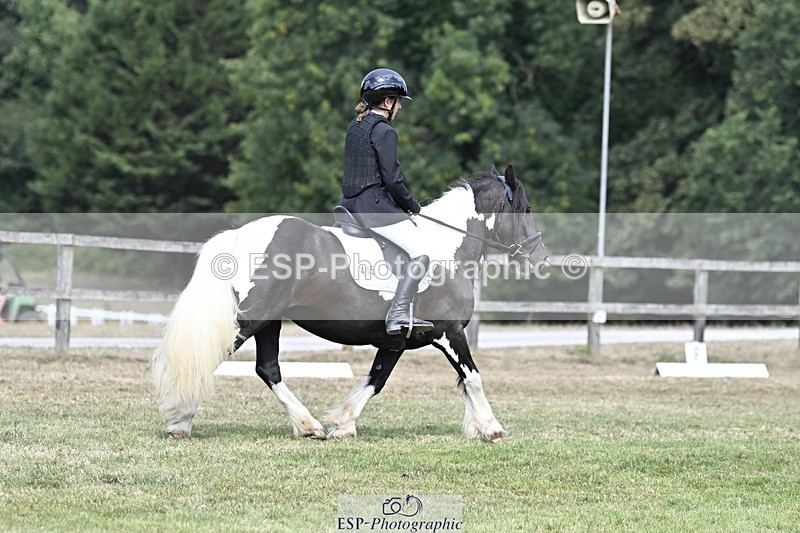 250821A-114252-15304 - DR 11.00 to 12.00