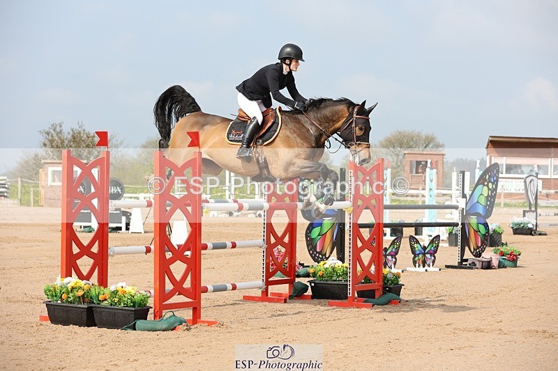 250424-102150-02970 - Cls 33 Young Horse 7yr old