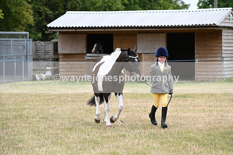 WJ6_4336 - Class 10 Coloured In-hand