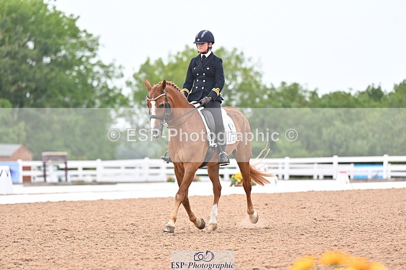 240815A-135842-01712 - 170-India.John-Grayswood.Orlando