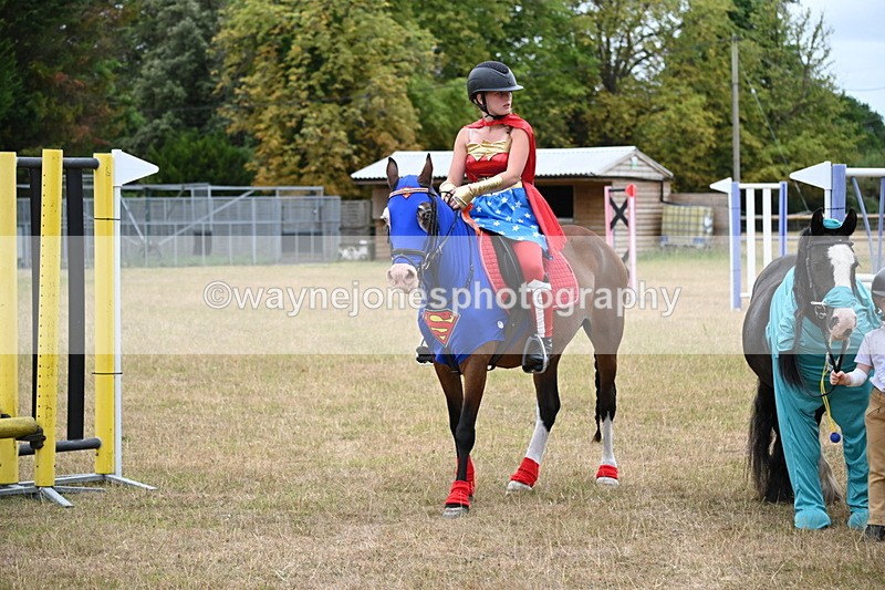 WJ6_9108 - Class 11 Fancy Dress