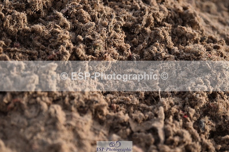 231028A-101510-00354 - Cls 1 Pony 70cm