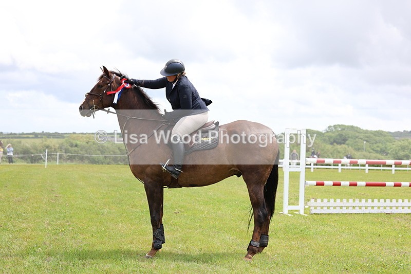 3E7A7156 - Class 12: Senior Foxhunter/1.20 open