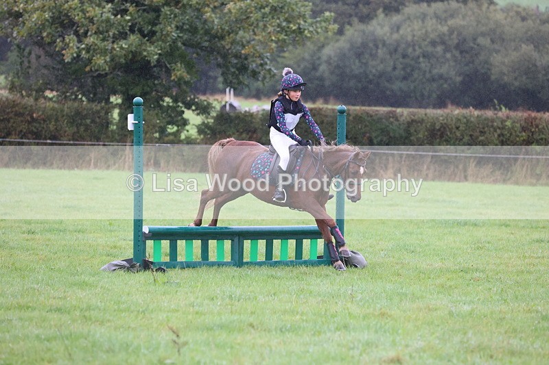 JPP_5151 - Class 1: 65cm : Showjumping