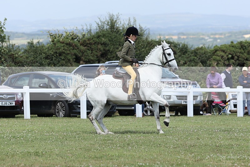 JPP_2107 - Class 19: Working Hunter 60cm