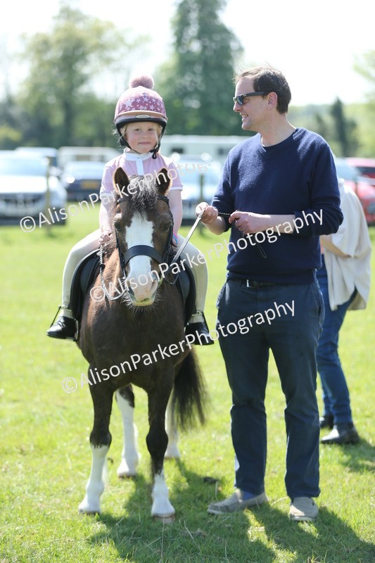 20250427-2703 - Class 6 - Pony Judge Would Most Like To Take Home