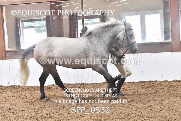 BPP_0532 - RING 1
