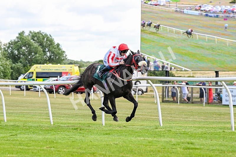 090725-Race 5-Cosmic Soul-3462 - Race 5