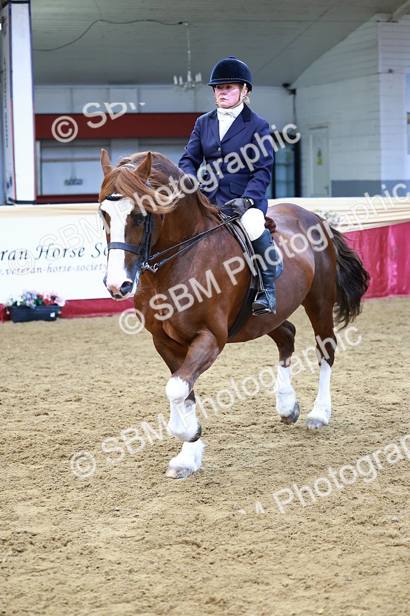 SBM_23412 - class 906 - Supreme Final - Ridden Pre Vet