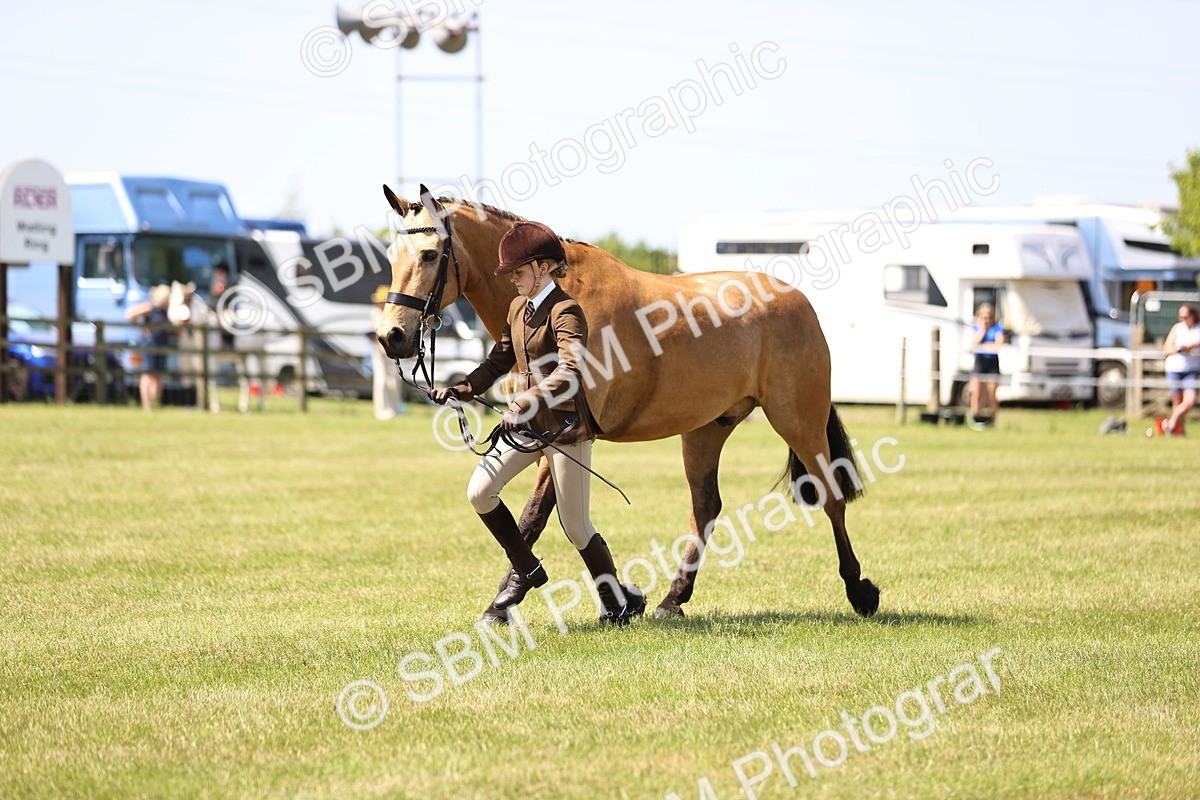 SBM_15199 - Class 79-80 - LIHS BSHA Rising Star Ridden Hunter