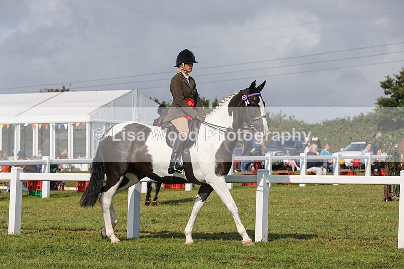 1X9A3440 - Skewbald and Piebald Ridden Championship