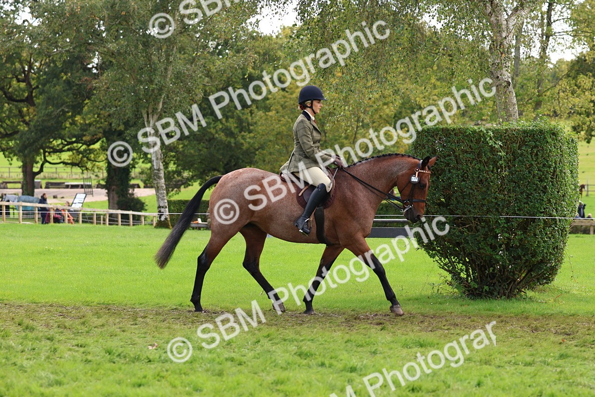 SBM_45176 - S27 - Young Veteran Ridden