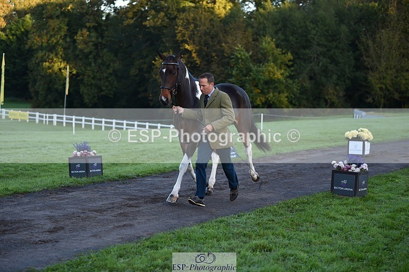 231022-083528-21244 - 640-UP.TO.MISCHIEF-Will.van.Ufford-TrotUp+SJ