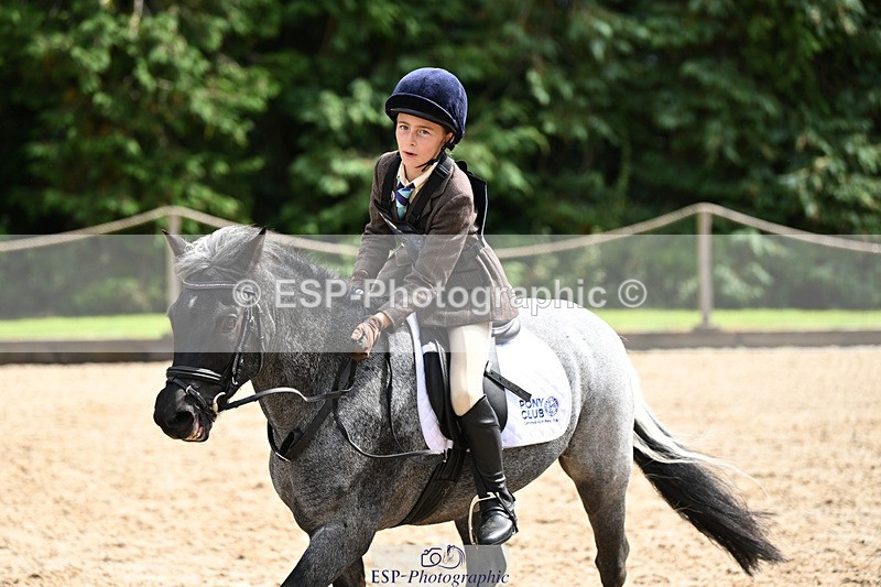 240824X-125616-25676 - 70cm Jump Off