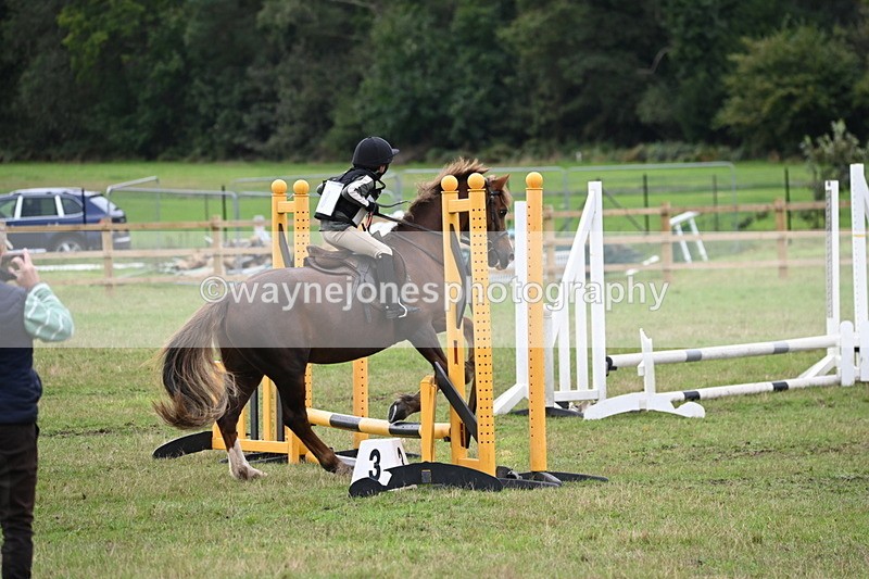 WJ6_0285 - 40cm Time 10:00 to 10:28