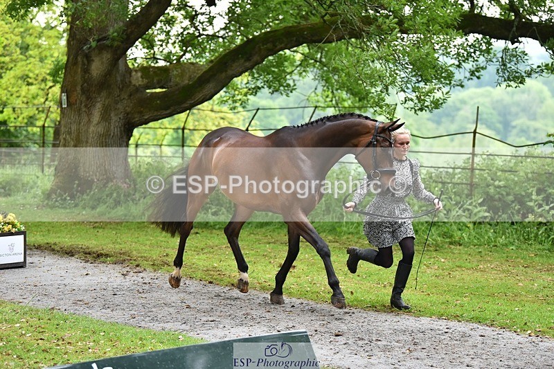 240522-165406-01239 - 227-FIREBALL_III-Oda_Christine_Lippestad