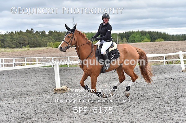 BPP_6175 - SUN CLASS 37 BR NOVICE/90CM