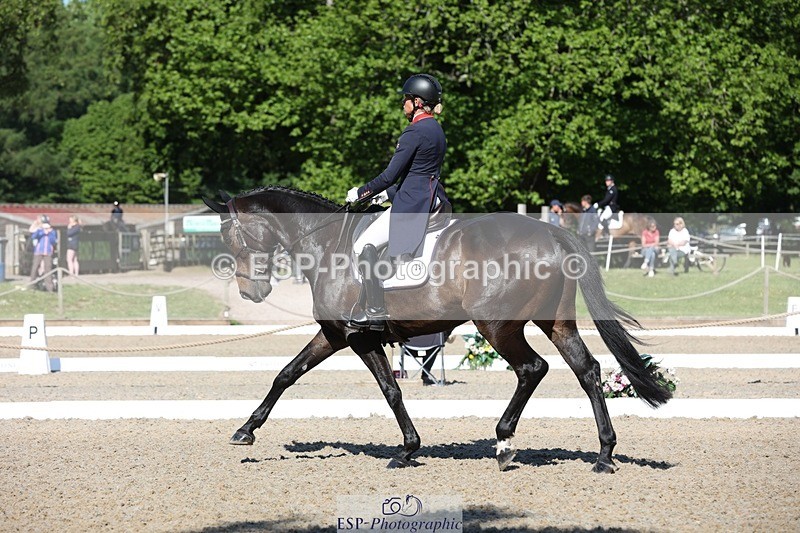 230526-092734-05077 - 355-JASON_KING-Izzy_Taylor-WEDTrotUp+DR