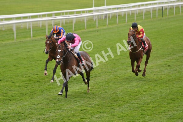 yr14052021r4-26 - Race 4 3.10pm The Matchbook Yorkshire Cup