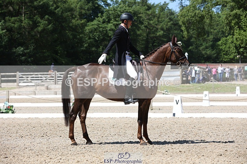230526-113152-06079 - 153-GAMEBIRD-Max_Warburton-WEDTrotUp+DR