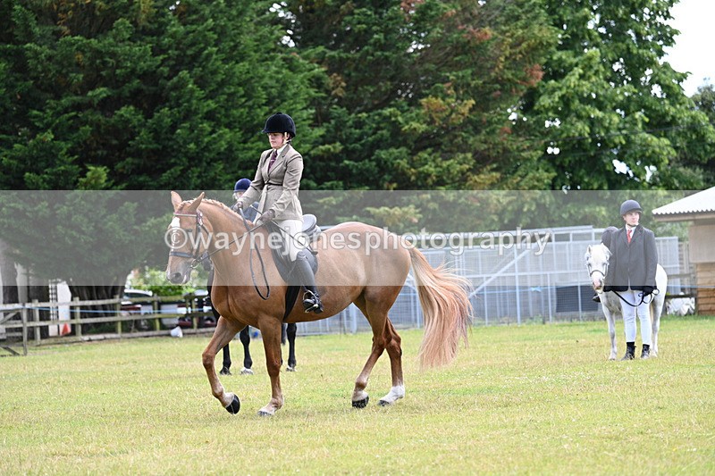 WJ7_9286 - Class 8 Ridden Veterans