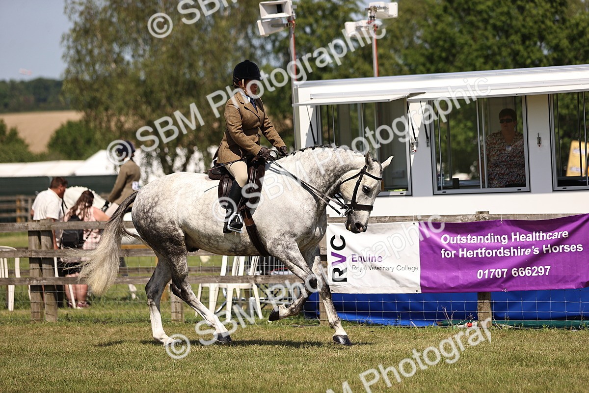 SBM_17717 - Class 81-83 - TSR Ridden Amateur of the Year - Horses