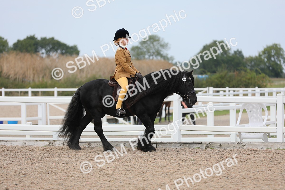 SBM_16849 - Class 314 Family Horse/Pony