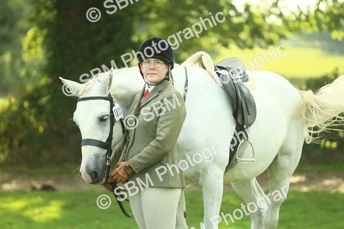 SBM_52143 - S33 - Working Hunter & Working Show Horse