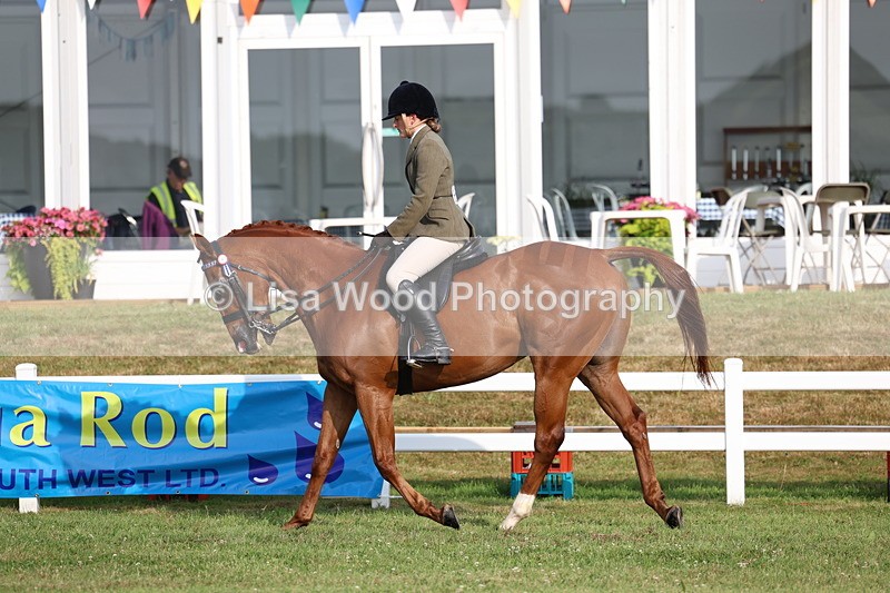 3E7A7817 - Class 1: Rising Star Small Hack/Riding Horses