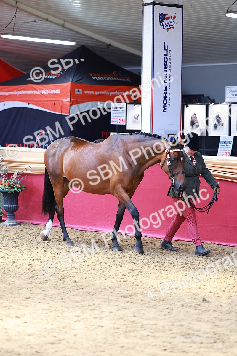 SBM_04069 - Class 9R - IH Pre-Vet