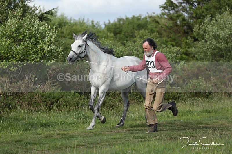 SPXX0152 - Friday vetting