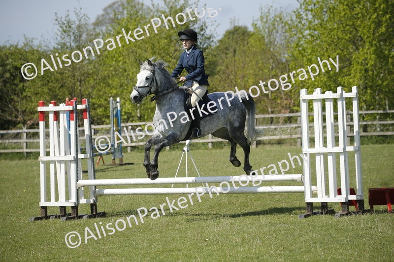 20250427-2243 - Class 13 - Novice Jumping 60cm