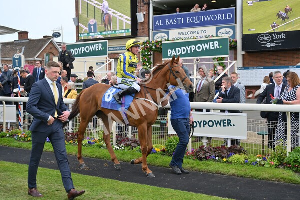 yr13052022r2-2 - Race 2 2.25pm Oaks Farm Stables Fillies' Stakes (registered as the Michael Seely Memorial Stakes)