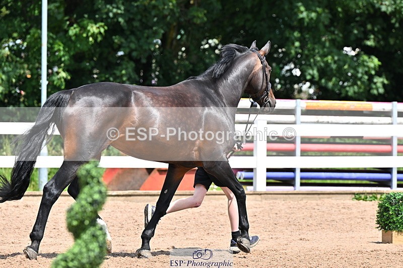 240718A-105314-01740 - Trot Up 1pm to 2pm