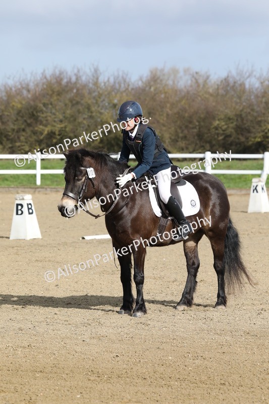 20260314-0237 - DR1 - Intro 1