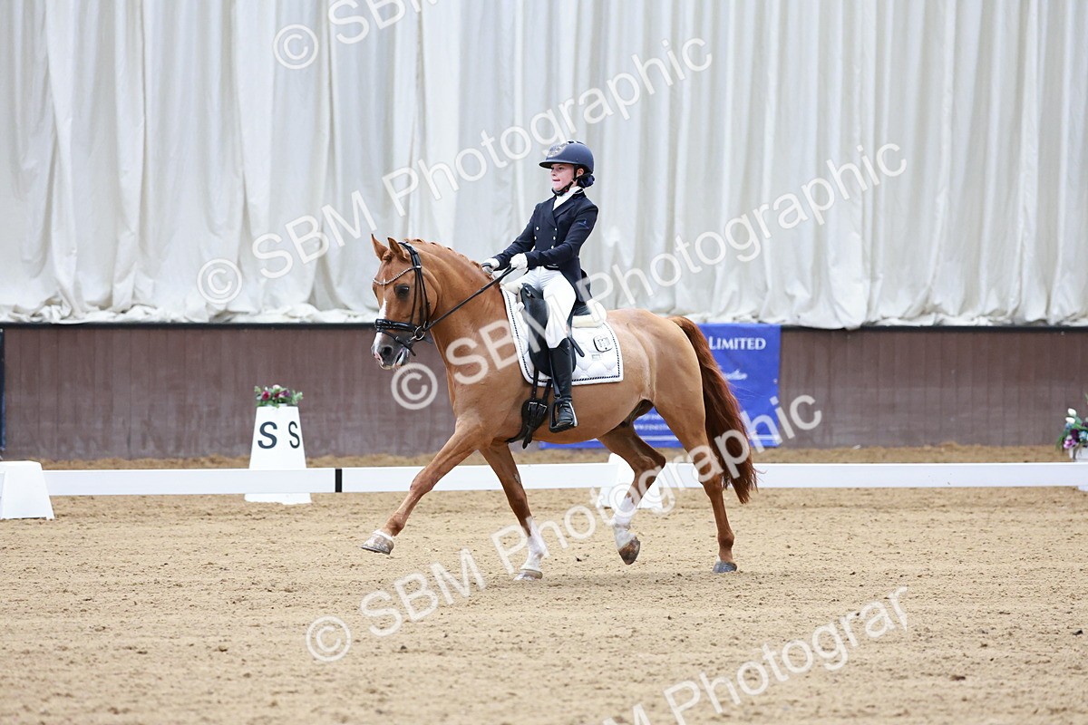 SBM_017073 - Class15 - FEI Pony