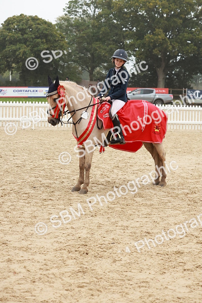 SBM_73543 - Supreme Championship Junior Pony 60cm & 65cm