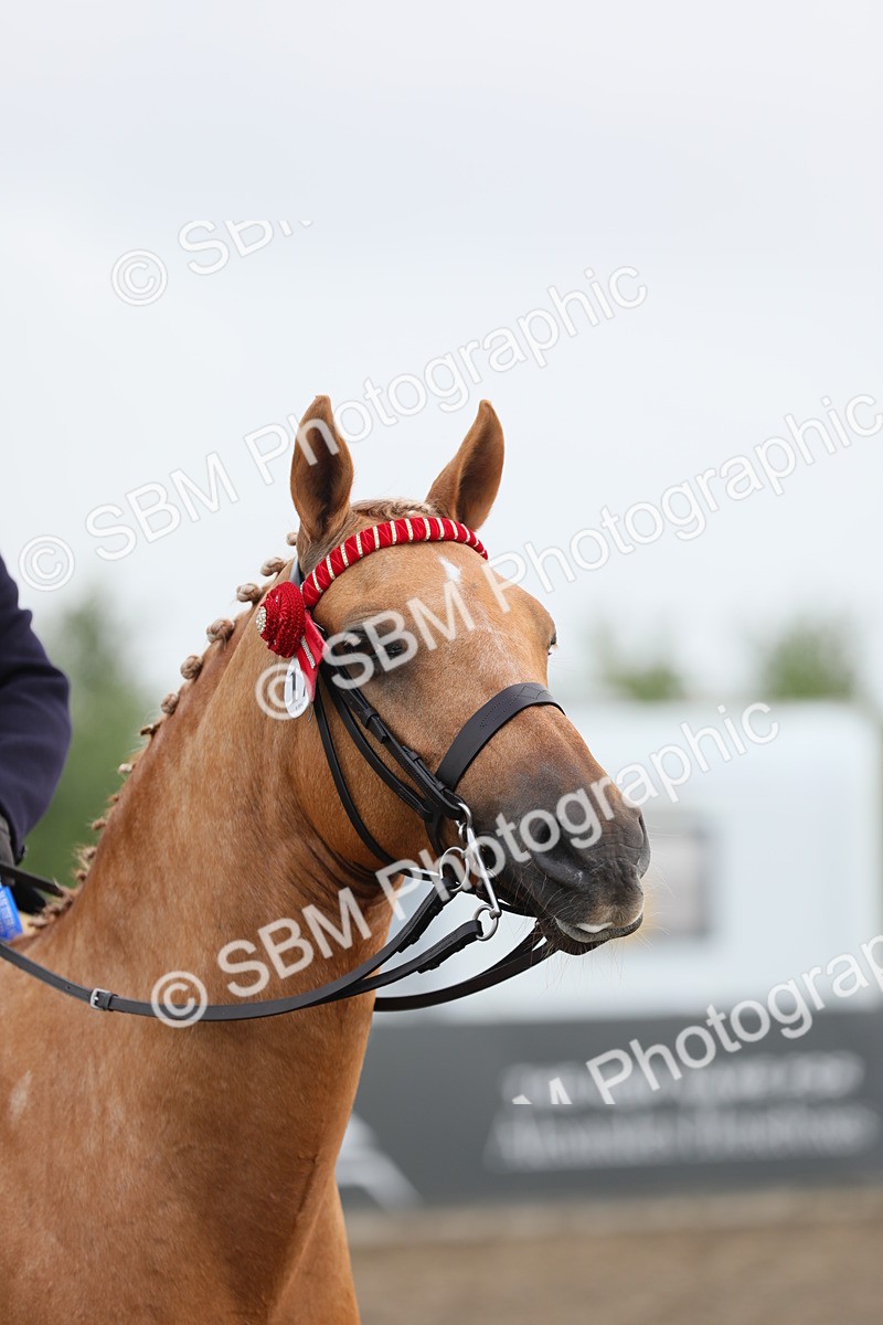 SBM_22476 - Young Rider Championship