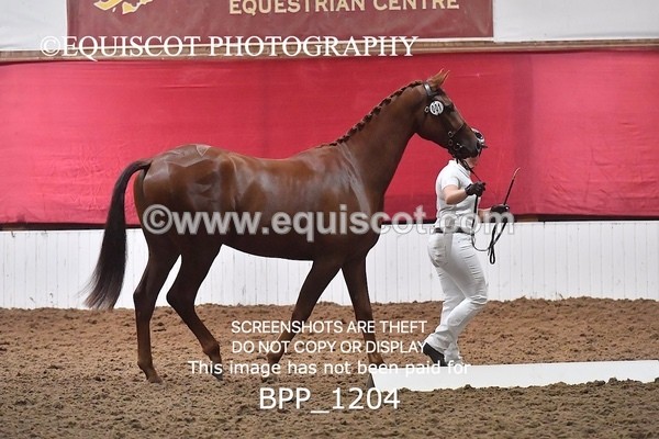 BPP_1204 - MORNING 9AM - 12PM